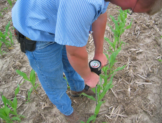 Measuring soil compaction.