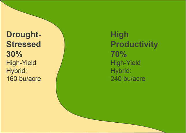 Primarily high-productivity field planted entirely to a high yield potential hybrid, yield results.