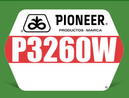 p3260W