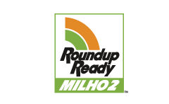 Logotipo da tecnologia Roundup Ready escrito em preto dentro de um quadrado e acima um arco irís de duas cores: verde e laranja.