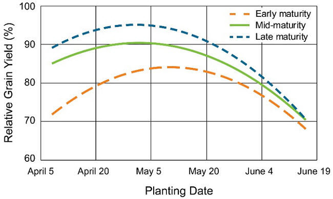 Chart showing the relationship between relative corn grain yield and planting date by hybrid maturity group across 26 site-years in 2009 to 2016.