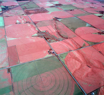 Aerial color-infrared image depicting spatial variation in crop vigor for several fields.