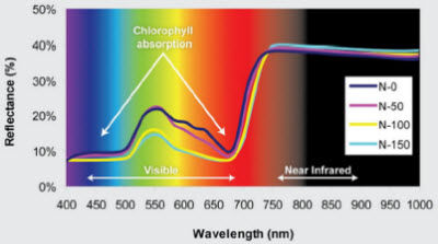 Reflectance spectrum for corn plants receiving 4 rates (0, 50, 100 and 150 lb/acre) of N fertilizer.