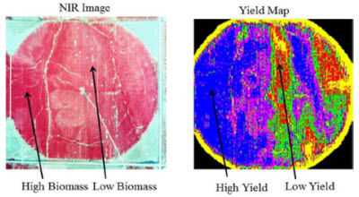 Near infrared (NIR) aerial image and yield map.