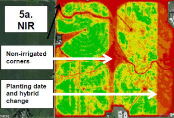 NIR analysis