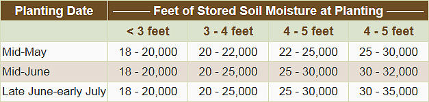 Adjusting sorghum planting rate to available stored soil moisture in arid environments.