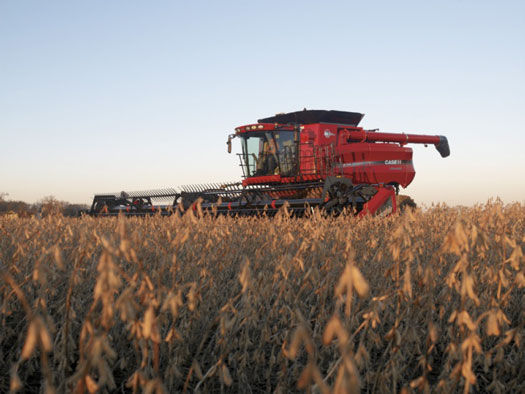 Soybean harvest
