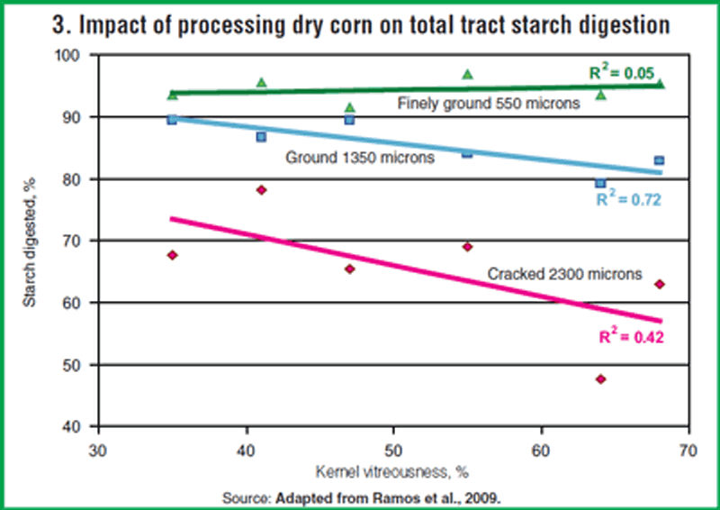 Impact of processing dry corn on total tract starch digestion.