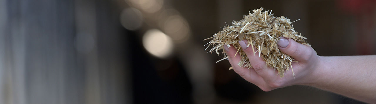 Les inoculants : le secret des chefs étoilés… de l’élevage !