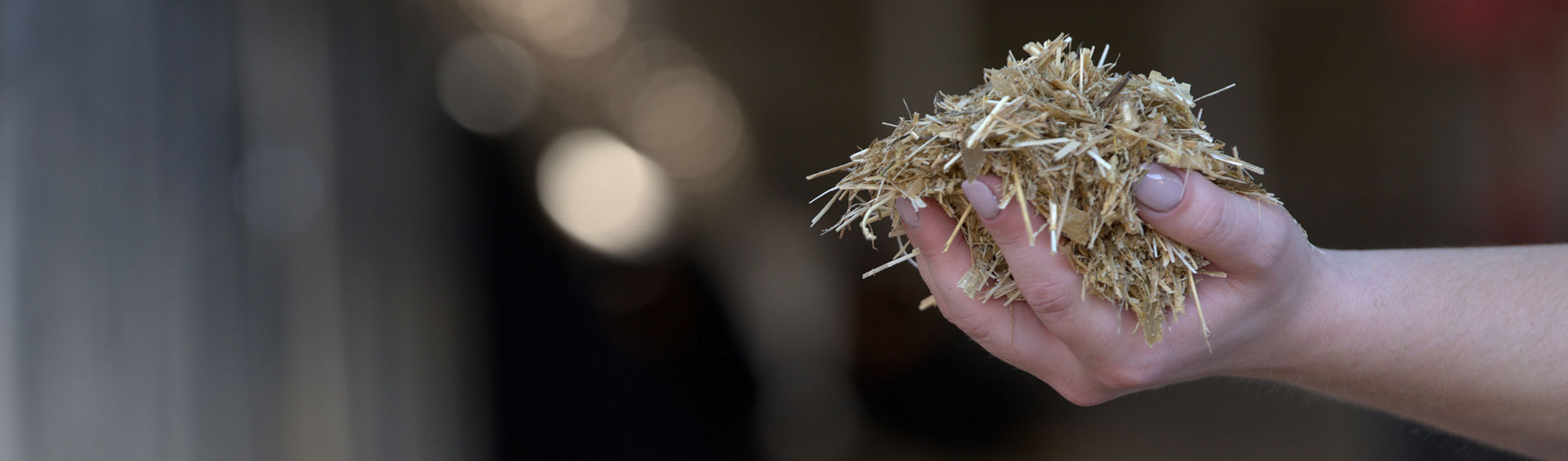 Les inoculants : le secret des chefs étoilés… de l’élevage !