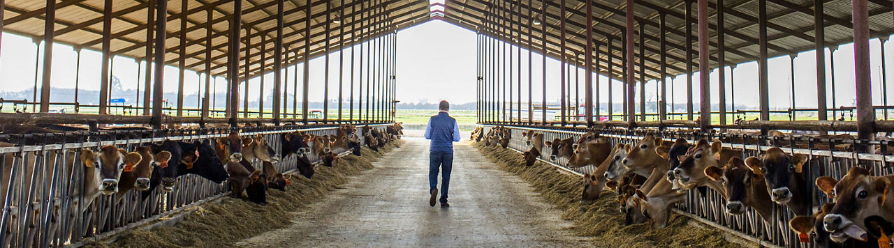 Optimiser la fertilisation des cultures fourragères grâce à Utrisha N 