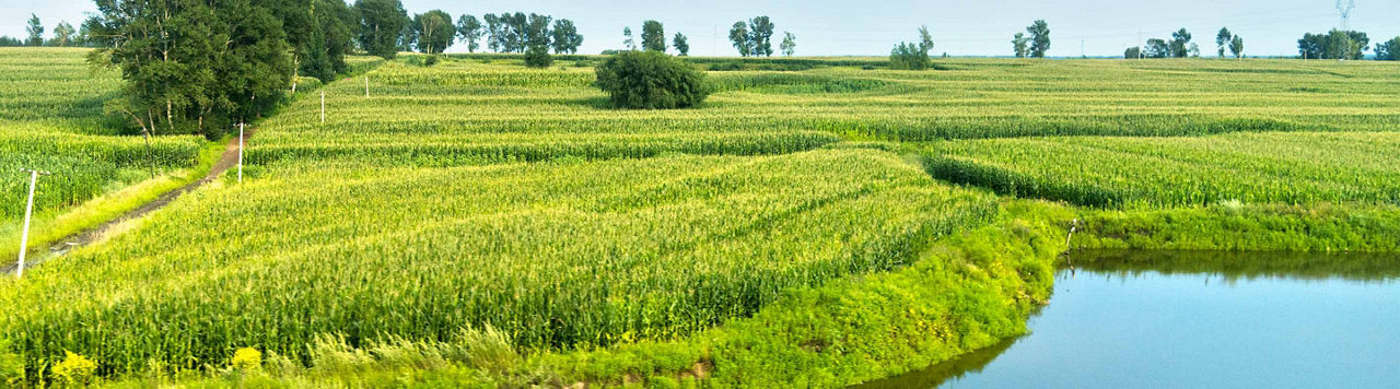 Réduire les transferts de produits phyto vers les milieux aquatiques