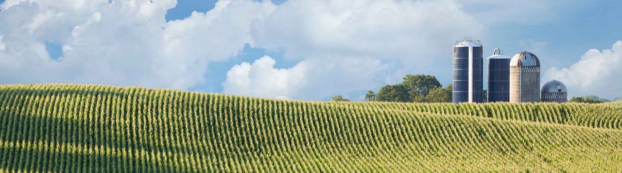 Sécurité autour des silos : ne laissez rien au hasard