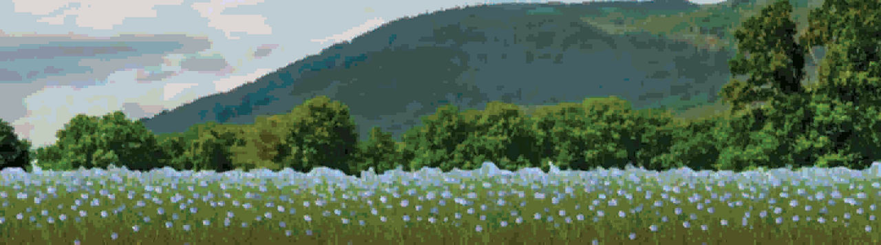  Le Tour de France des biostimulants : suivez la série vidéo