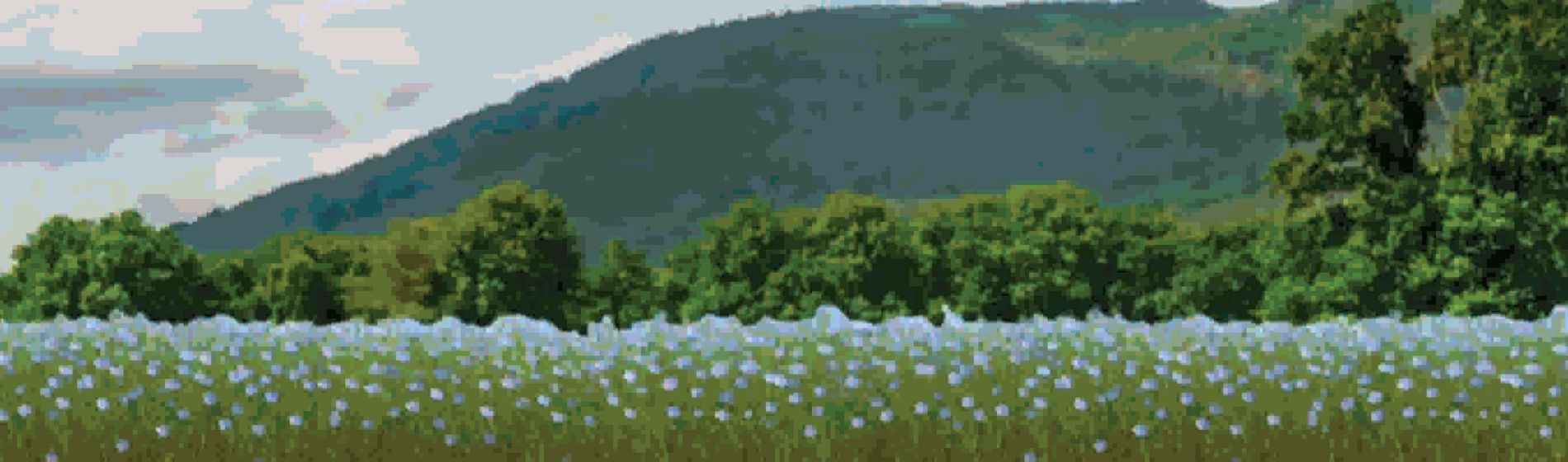  Le Tour de France des biostimulants : suivez la série vidéo