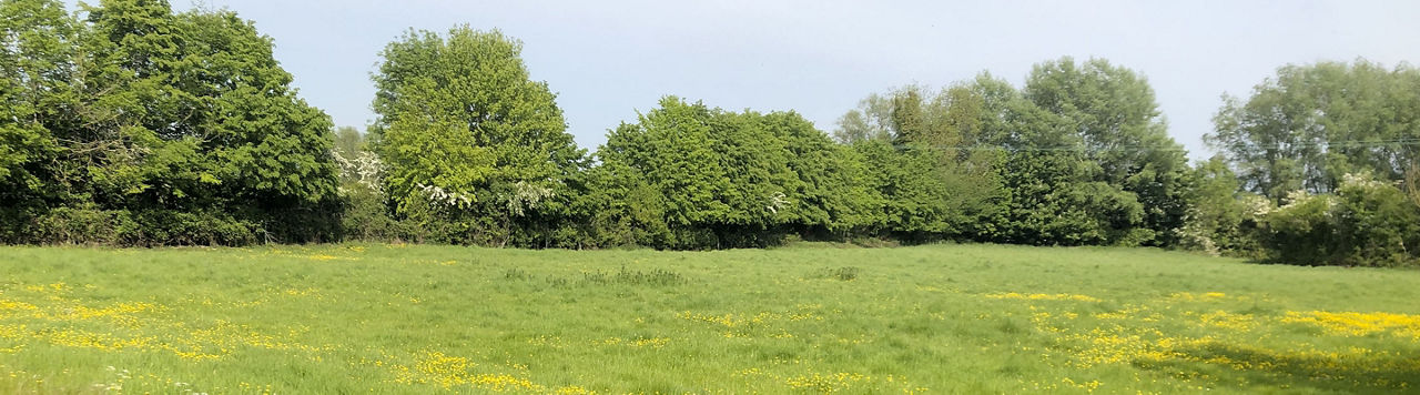 Le pâturage tournant dynamique, un levier pour l'autonomie de son élevage