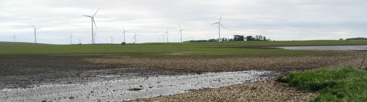 FAQ – Excès d’eau en hiver : quels impacts agronomiques pour les cultures de printemps ?