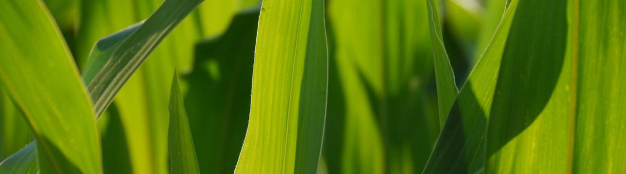 Sem’Expert fête ses 20 ans !