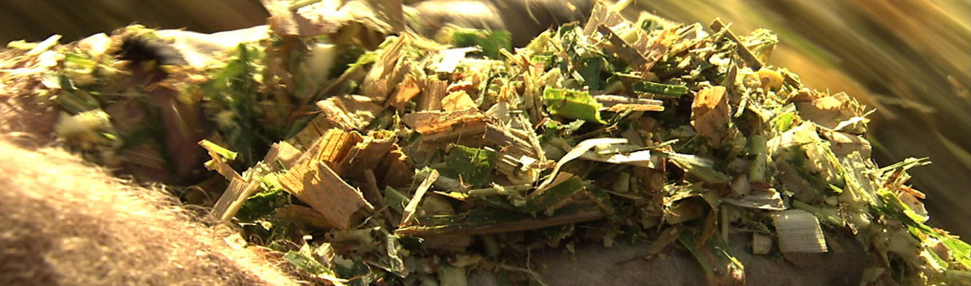 À quoi sert la gamme d’inoculant Fiber Technology ?