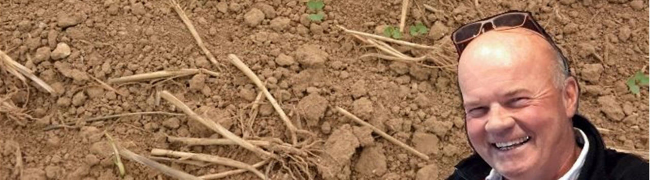 Adventices, résistances, rendements… évoluer pour sortir de l’impasse 