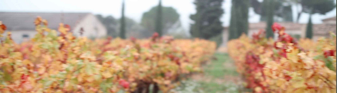 Tout ce que vous devez savoir sur la lutte agronomique