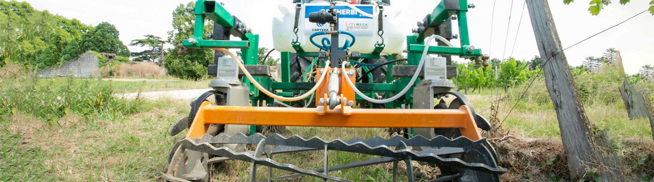 Quel avenir pour le désherbage de vos vignes ?