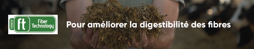Pour améliorer la digestibilité des fibres