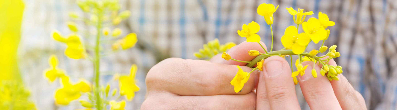 Bertrand, technicien d’expérimentation chez Corteva : innover pour une agriculture plus performante et plus durable 