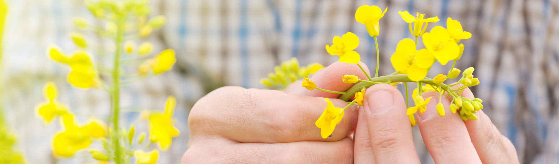Bertrand, technicien d’expérimentation chez Corteva : innover pour une agriculture plus performante et plus durable