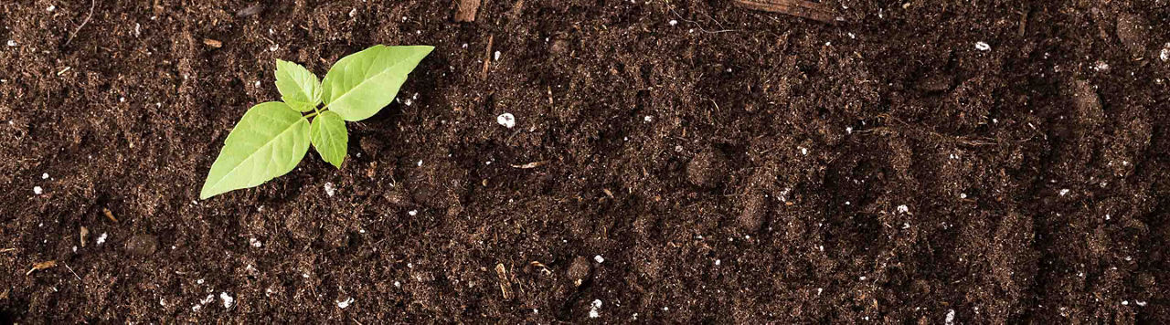 Bientôt plus de gains avec Instinct !