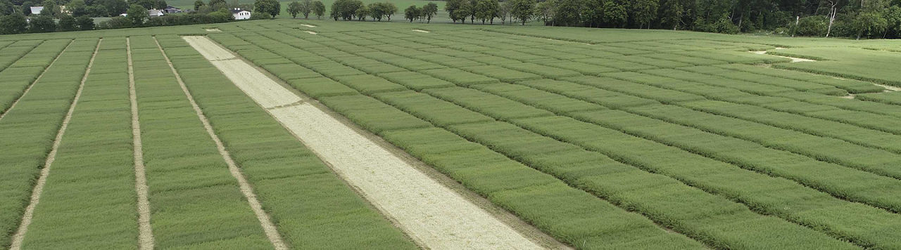 Biostimulants, consultez les résultats d’essais en temps réel pour toutes les cultures