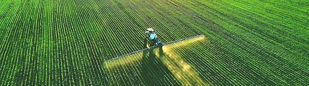 Quelques pistes pour valoriser chaque unité d’azote épandue