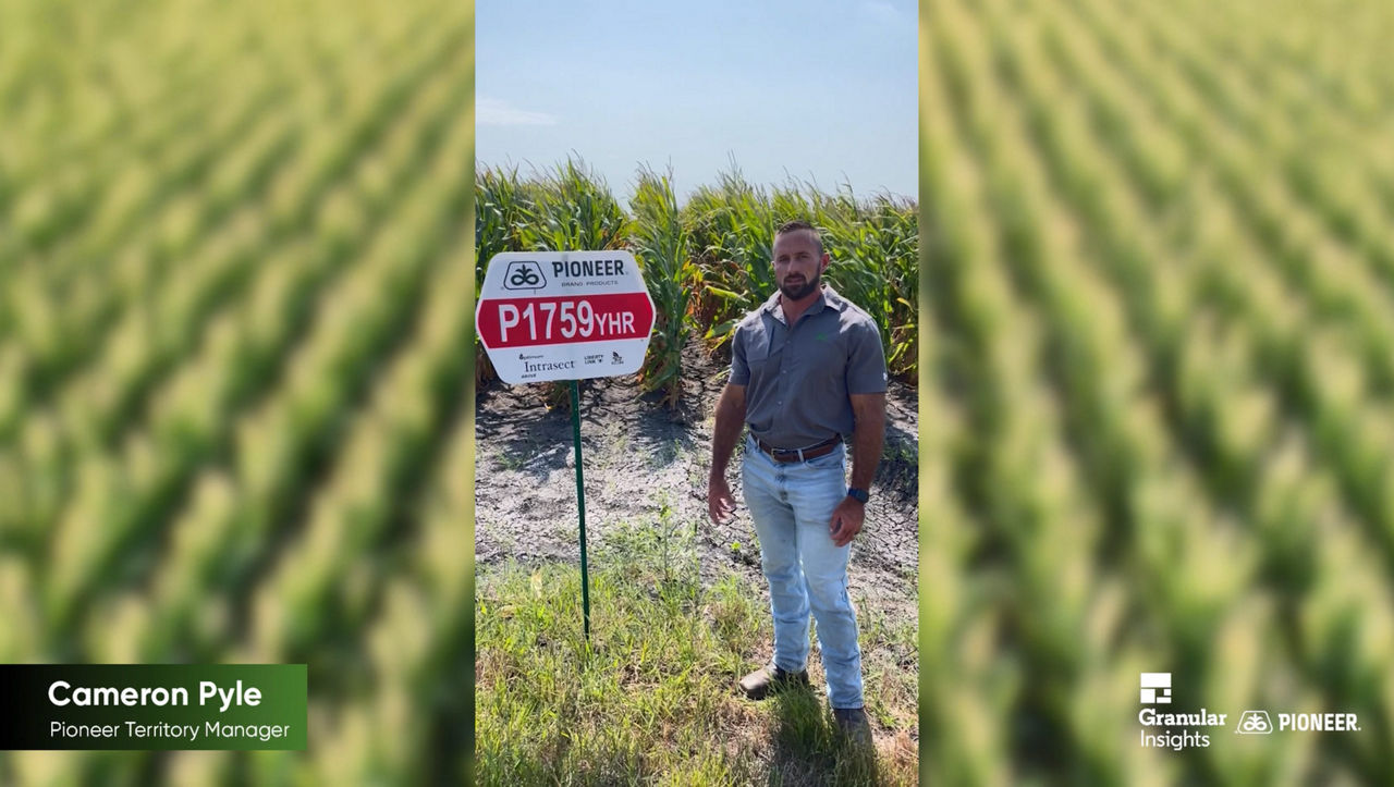 Cameron Pyle - Pioneer Territory Manager