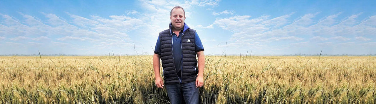 Comment venir à bout de mon ray-grass en combinant travail du sol et désherbage chimique ?