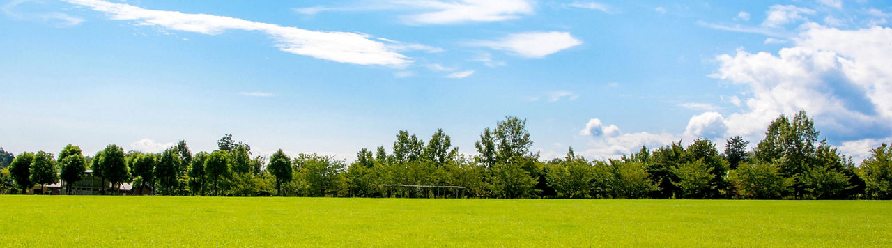 Chardon, ton heure a sonné ! 