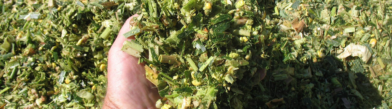 Comment réduire les pertes lors de mon ensilage ?