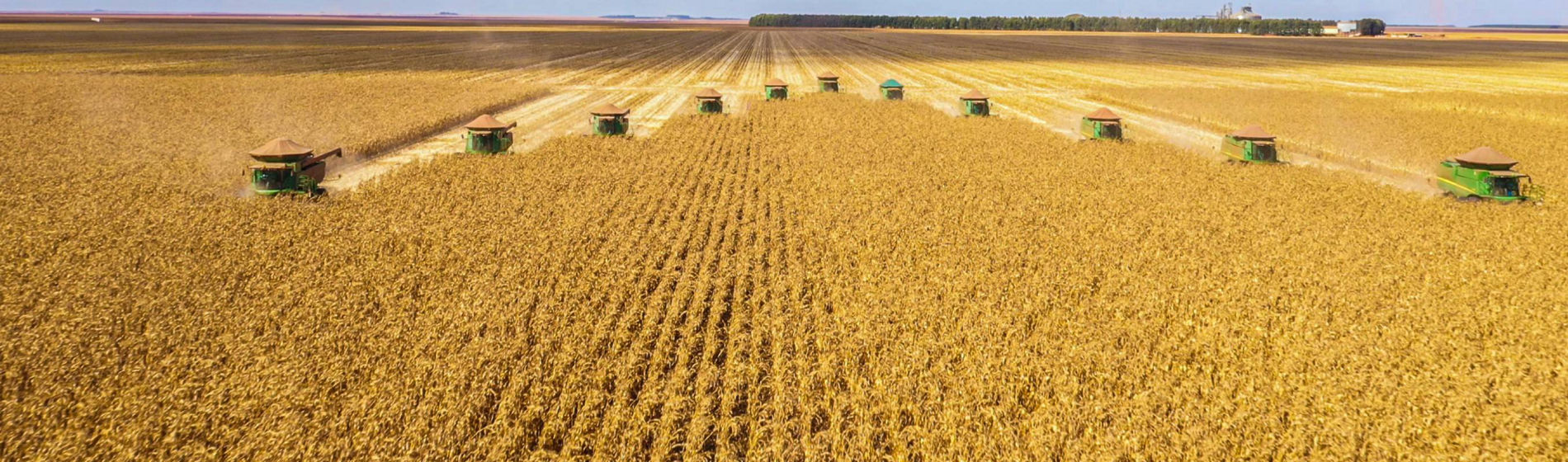 Comment se déroule une Journée Récolte organisée par Pioneer ?