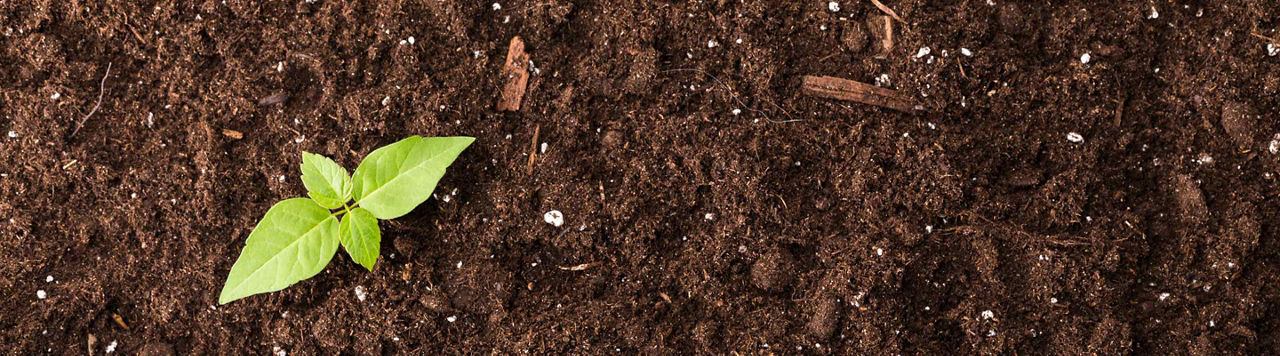 Comment estimer la dose d'azote efficace des fertilisants organiques ?