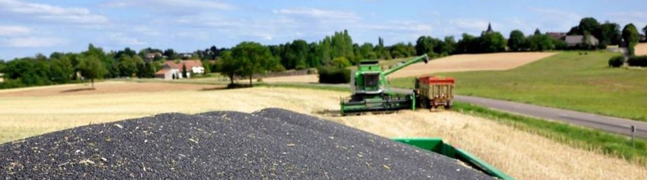 Comment maximiser son plein de quintaux ?