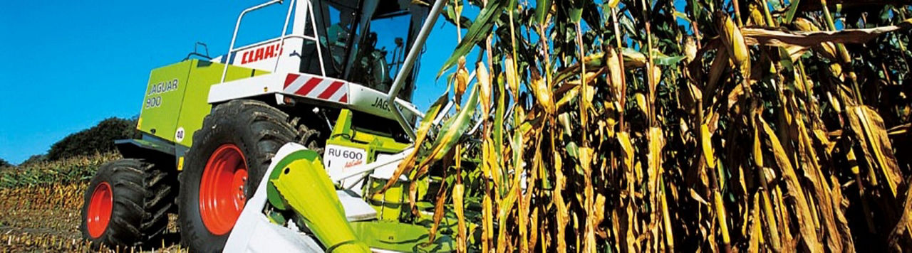 Comment éviter les échauffements dans les ensilages d’herbe et de maïs ?