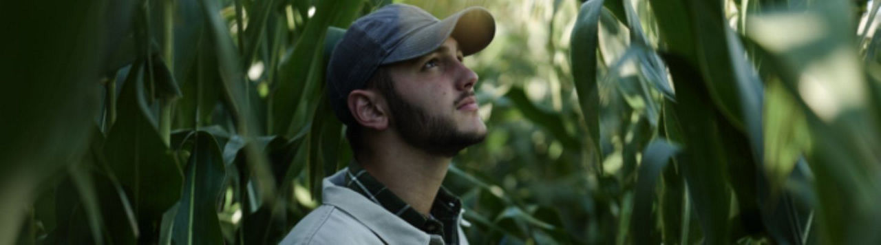 Sécuriser l’implantation de mon maïs