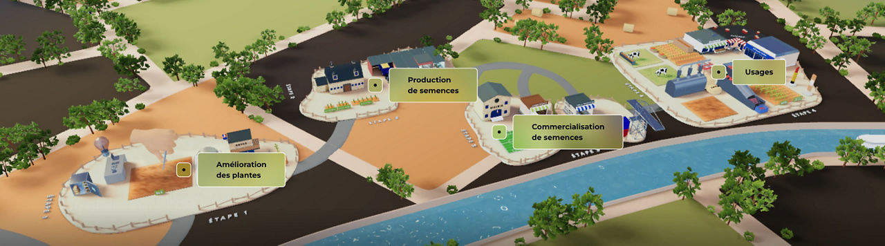 Dessine moi une semence