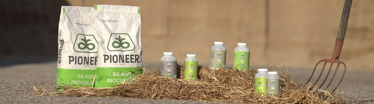 Dois-je inoculer mon ensilage d’herbe avec un conservateur ?