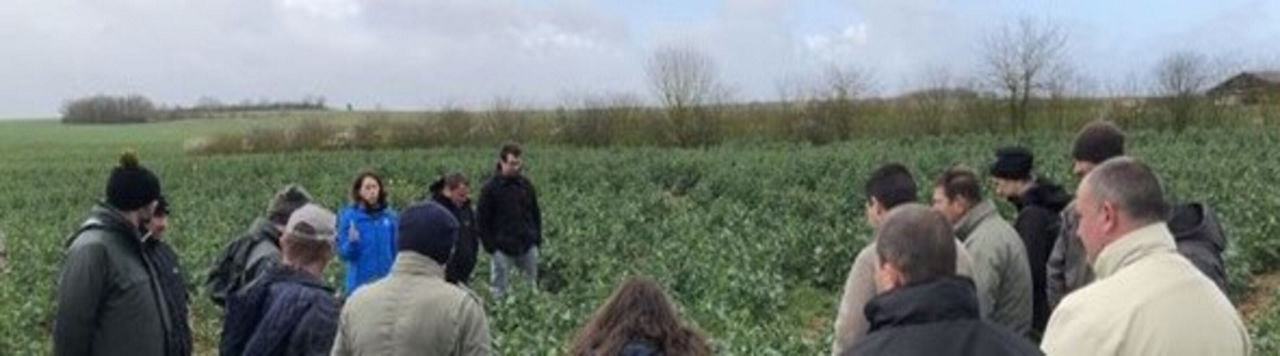 Dominique Collon, agriculteur : « Désherber avec Mozzar, c’est une révolution »