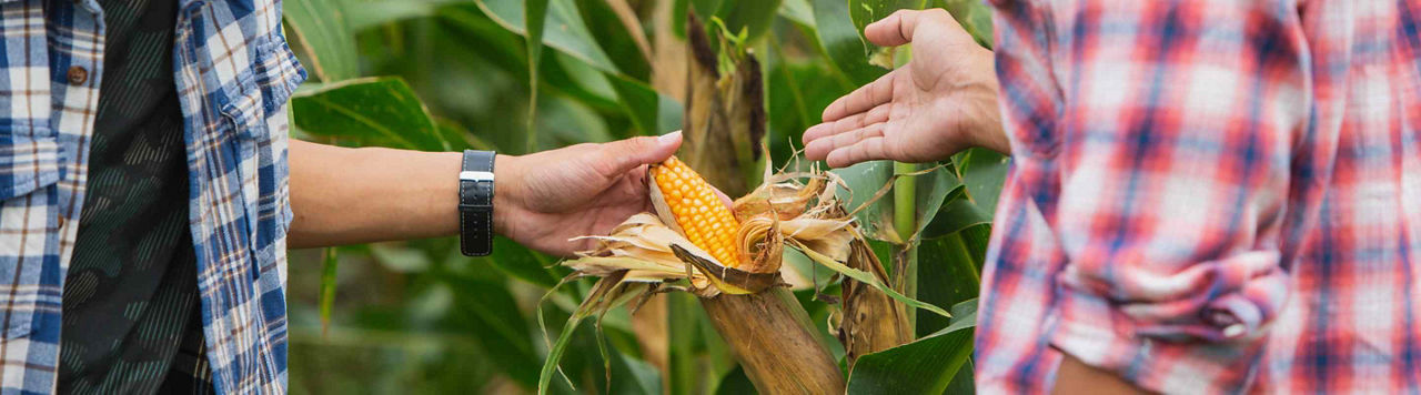 Émilien, au plus près du terrain pour accompagner les distributeurs agricoles
