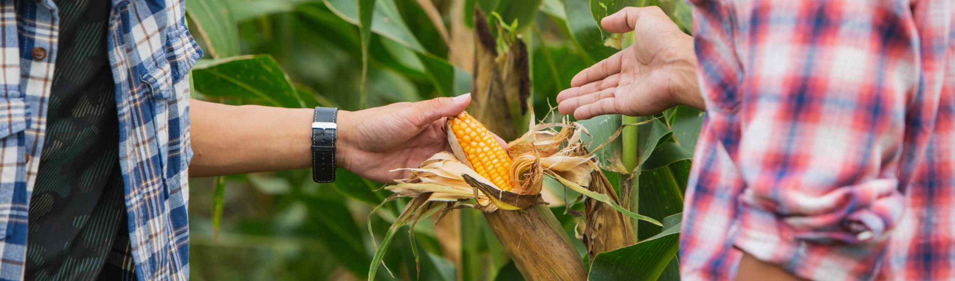 Émilien, au plus près du terrain pour accompagner les distributeurs agricoles