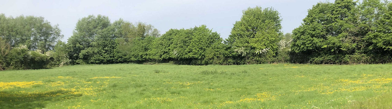 Adventices hors-piste : Kart remet les cultures sur la bonne voie