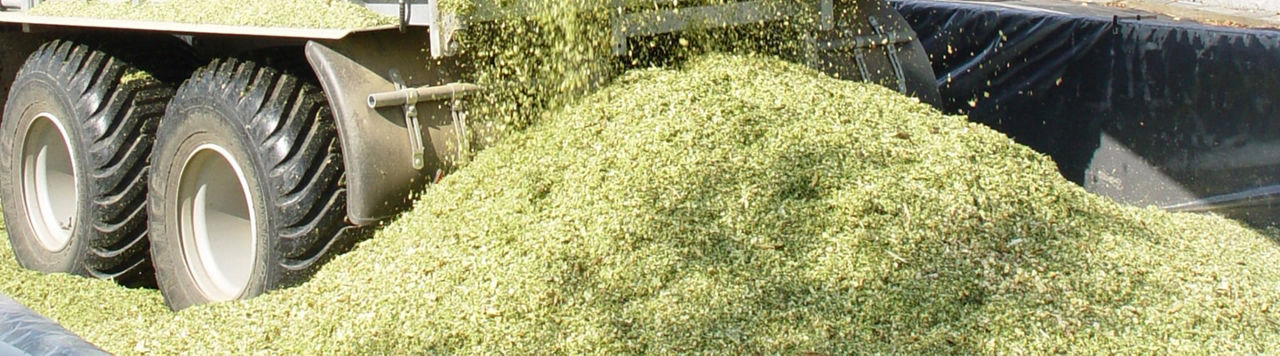 Granular Link intègre l’estimation de la date d’ensilage 