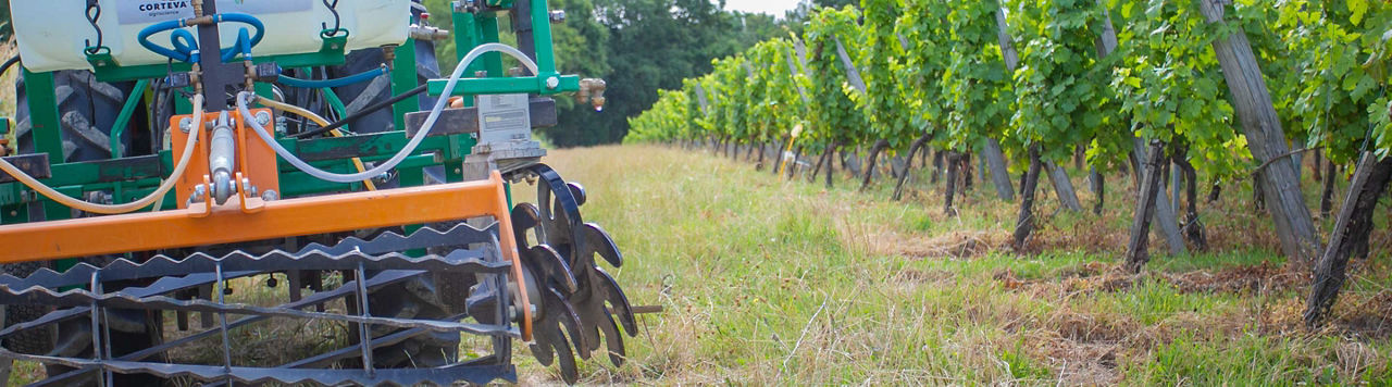 Avec GrifHerbi, combinez les luttes pour améliorer le désherbage de votre vignoble