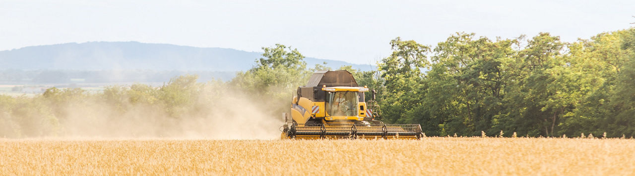 Moissons 2025 : précocité et rebond des rendements